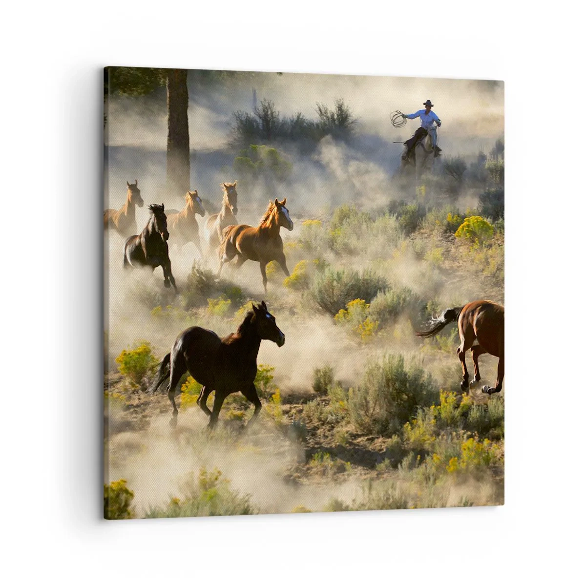 Tablou pe pânză - Rivalitatea - libertate sau putere masculină? - 50x50 cm