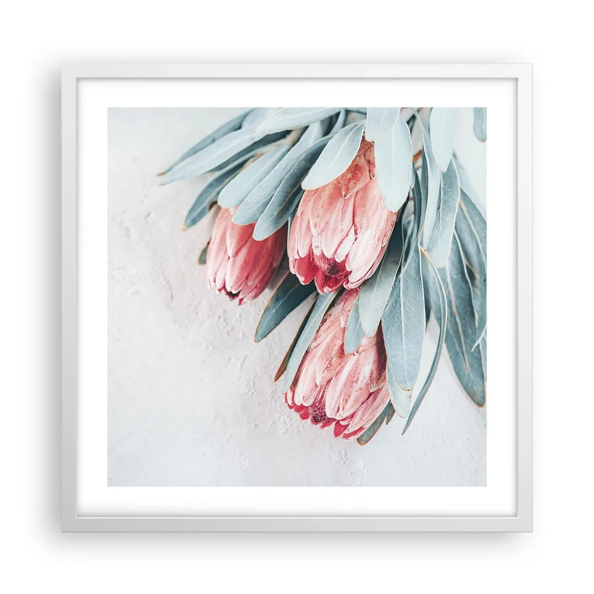 Poster în ramă albă - Rușinate de propria lor frumusețe - 50x50 cm