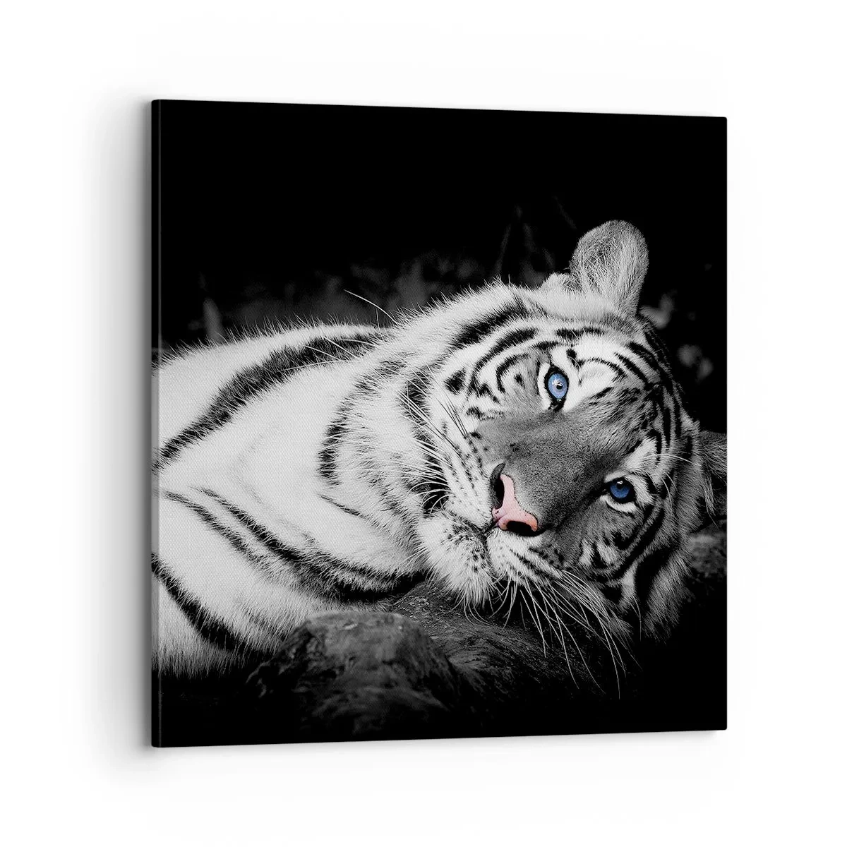 Tablou pe pânză - Sălbăticie și pace - 70x70 cm