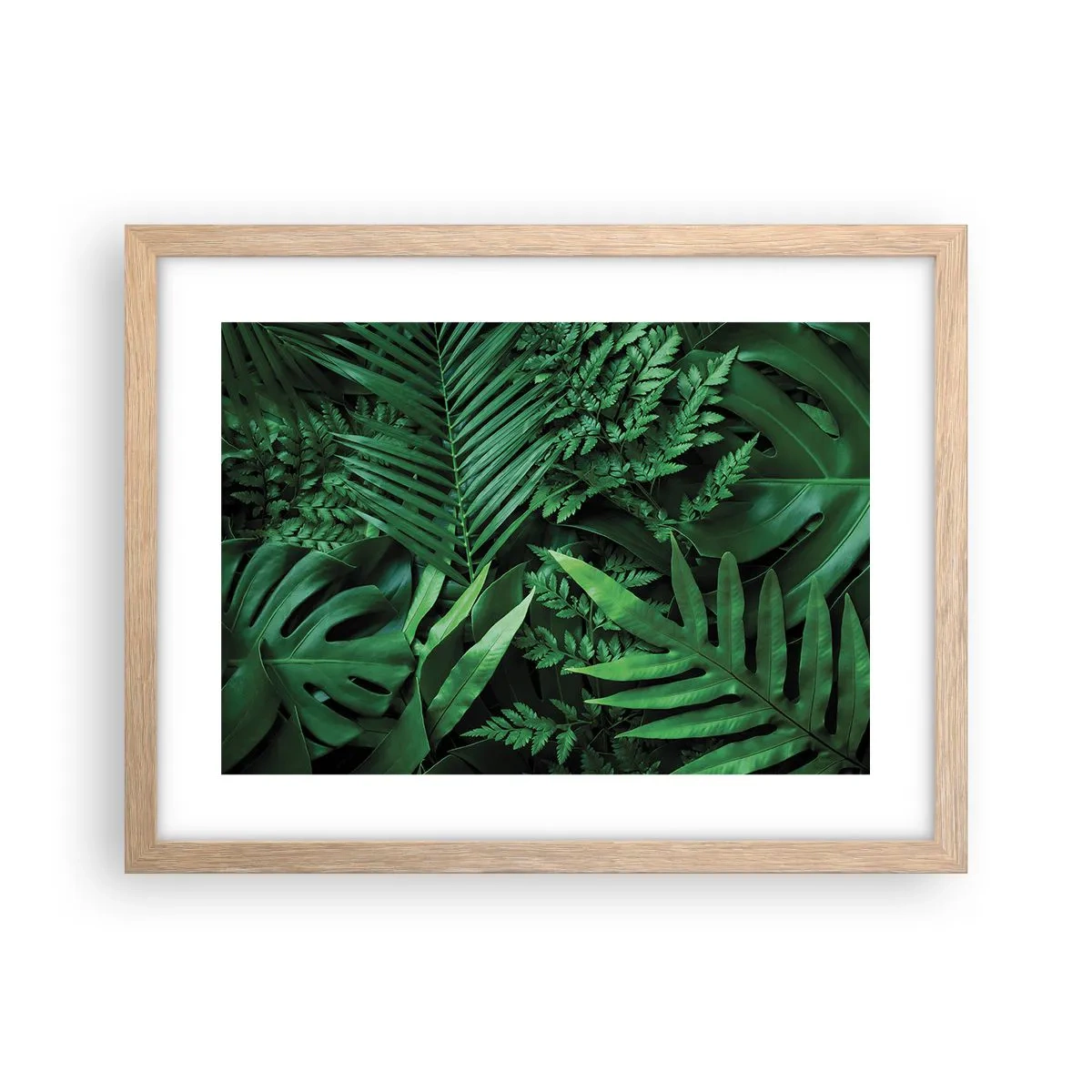 Poster în ramă de stejar deschis - Înfășurate în verde - 40x30 cm
