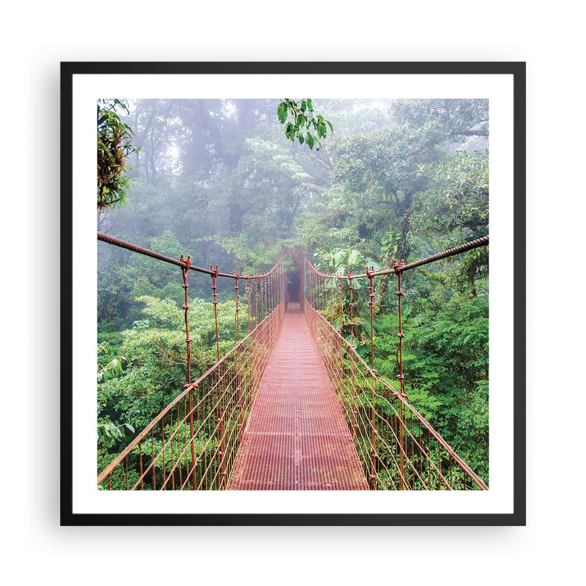 Poster în ramă neagră - Suspendat deasupra coroanelor arborilor - 60x60 cm