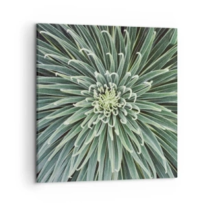 Tablou pe pânză - Nașterea unei stele - 60x60 cm