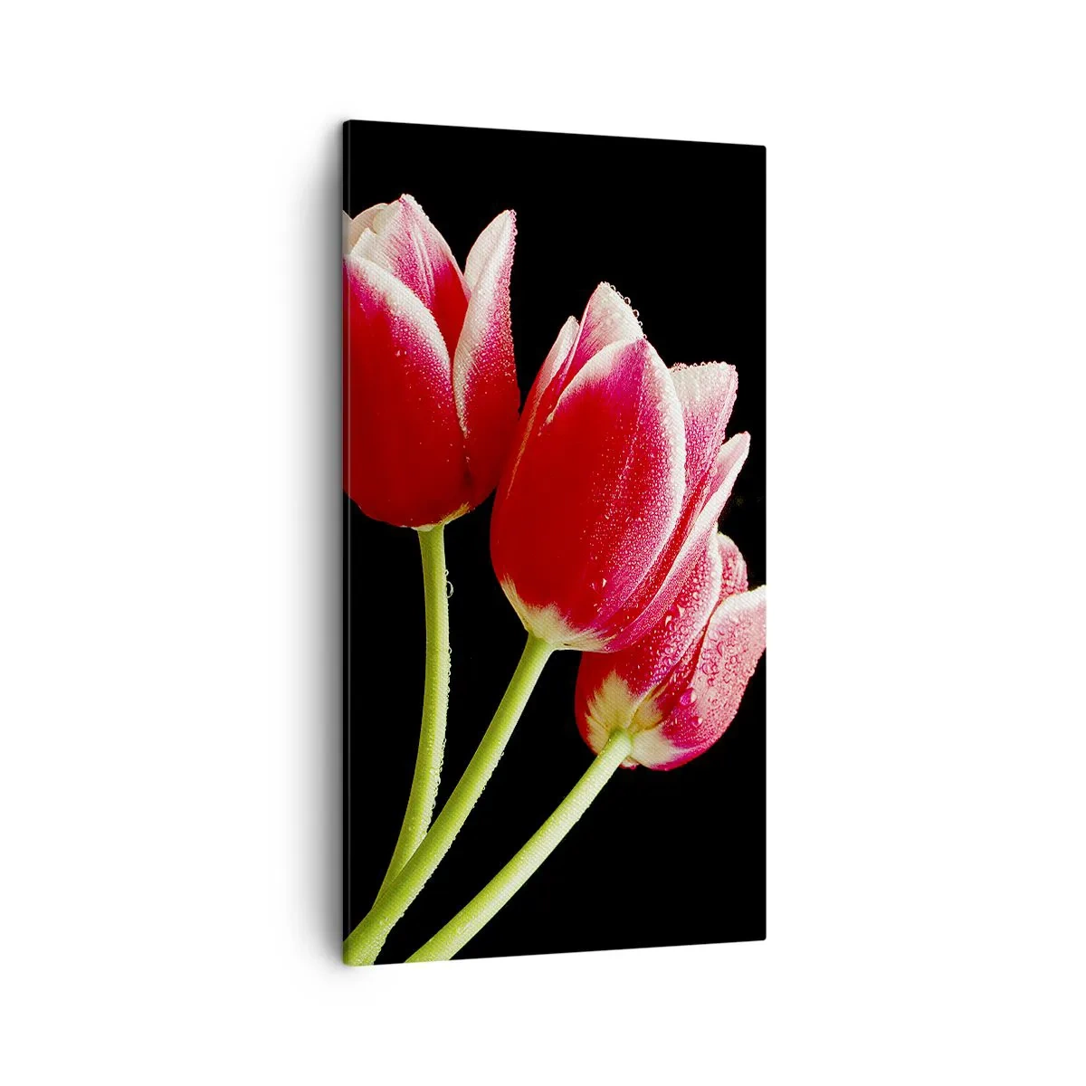 Tablou pe pânză - Promisiunea unei iubiri pure - 45x80 cm