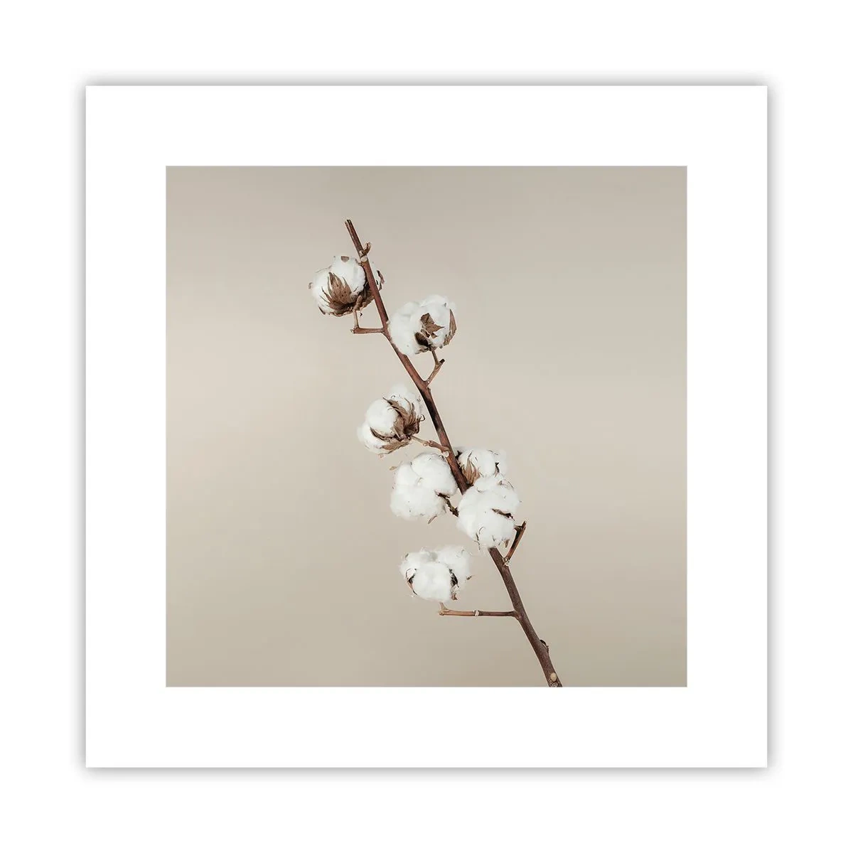 Poster - La sursa moliciunii - 30x30 cm