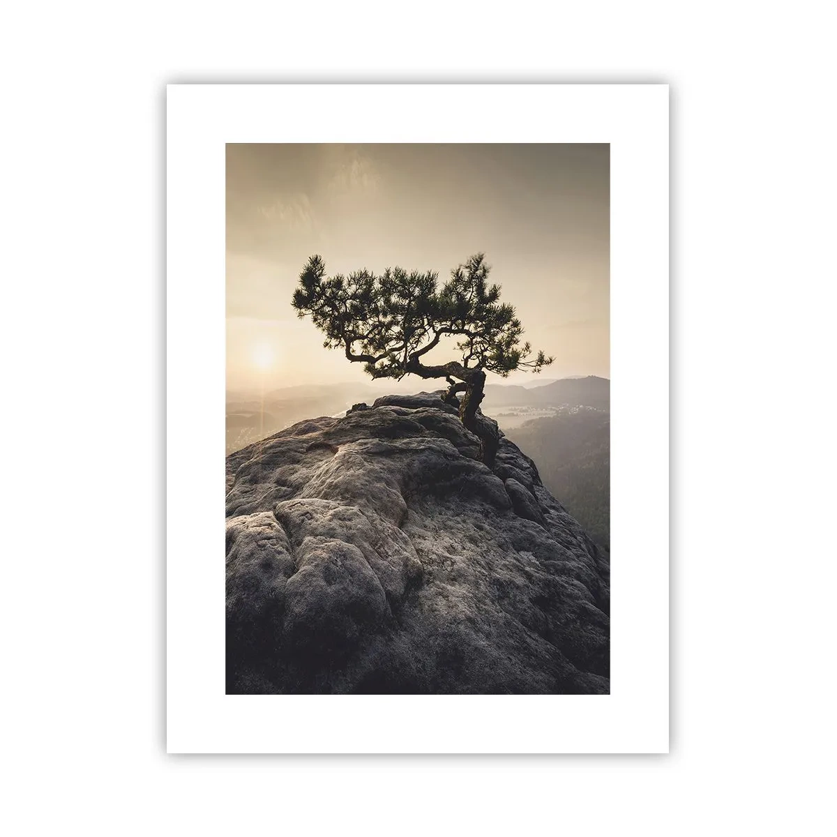 Poster - Viața învinge întotdeauna - 30x40 cm