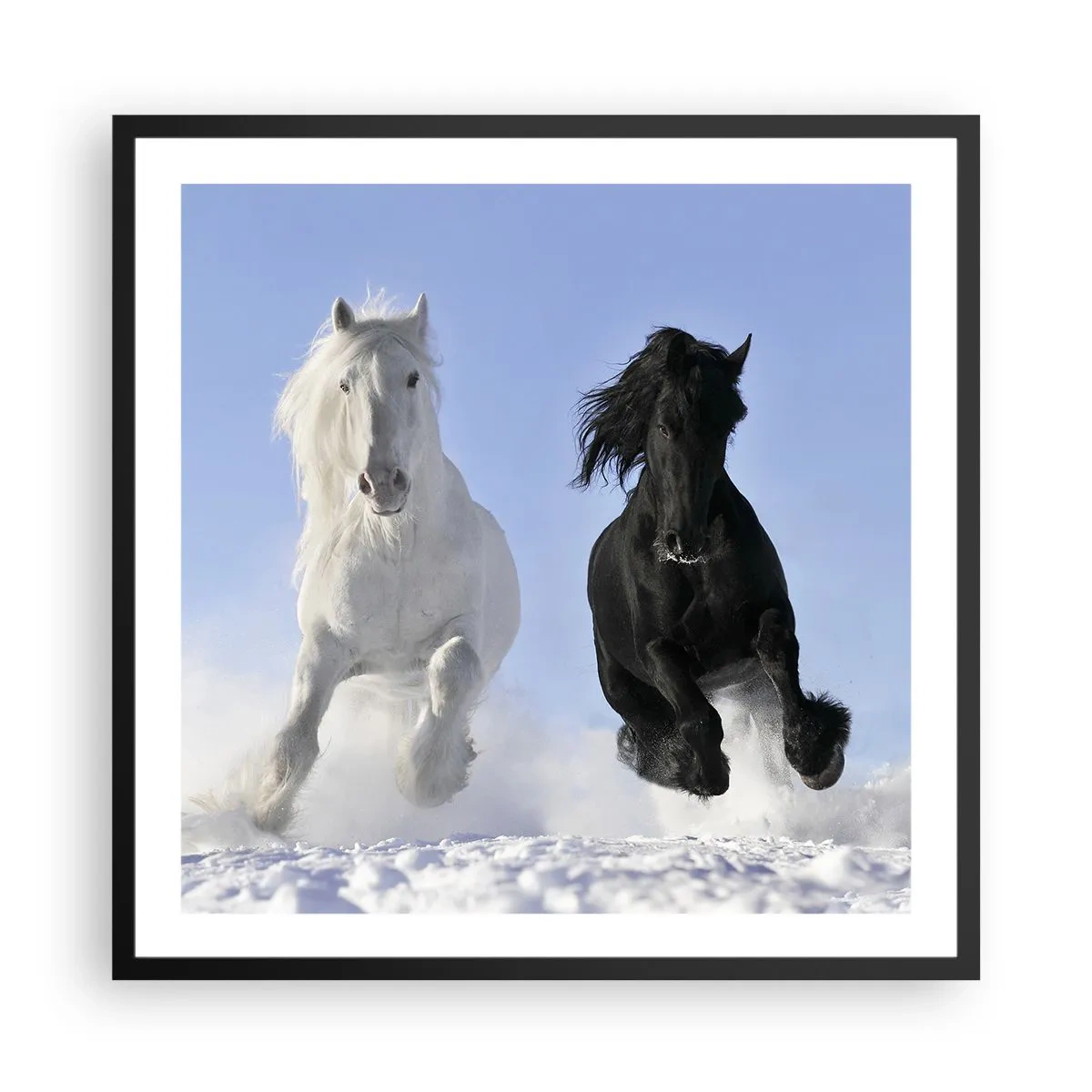 Poster în ramă neagră - Galop de alb și negru - 60x60 cm