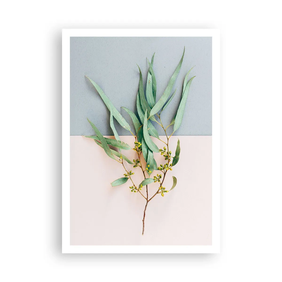 Poster - Subtilitate pastelată - 70x100 cm