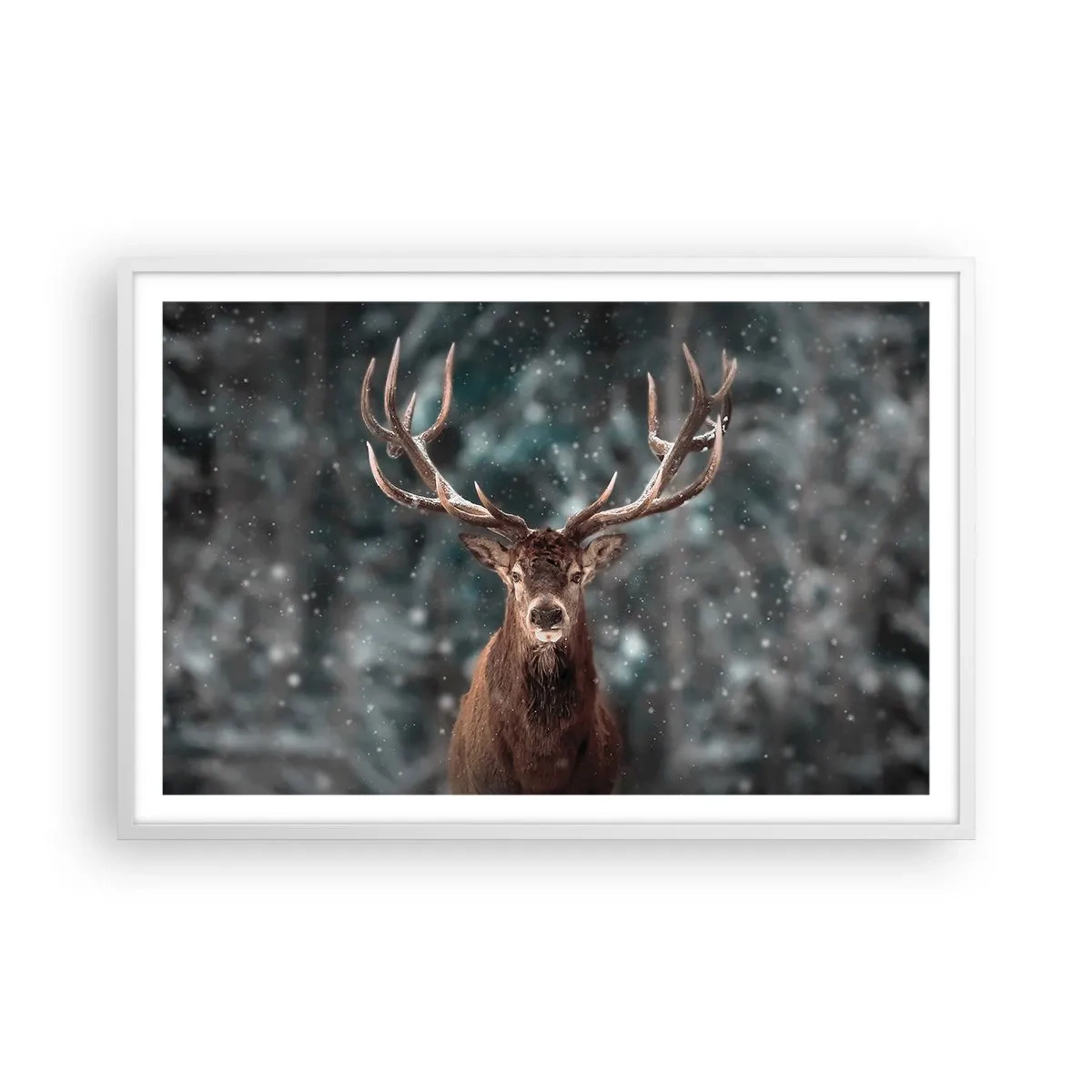 Poster în ramă albă - Regele pădurii a fost încoronat - 91x61 cm