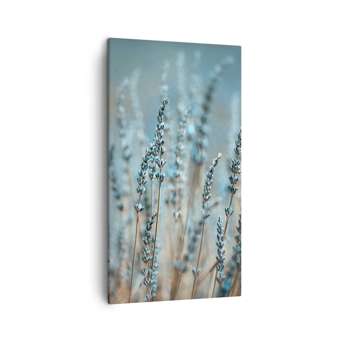 Tablou pe pânză - Câmpul parfumat - 45x80 cm