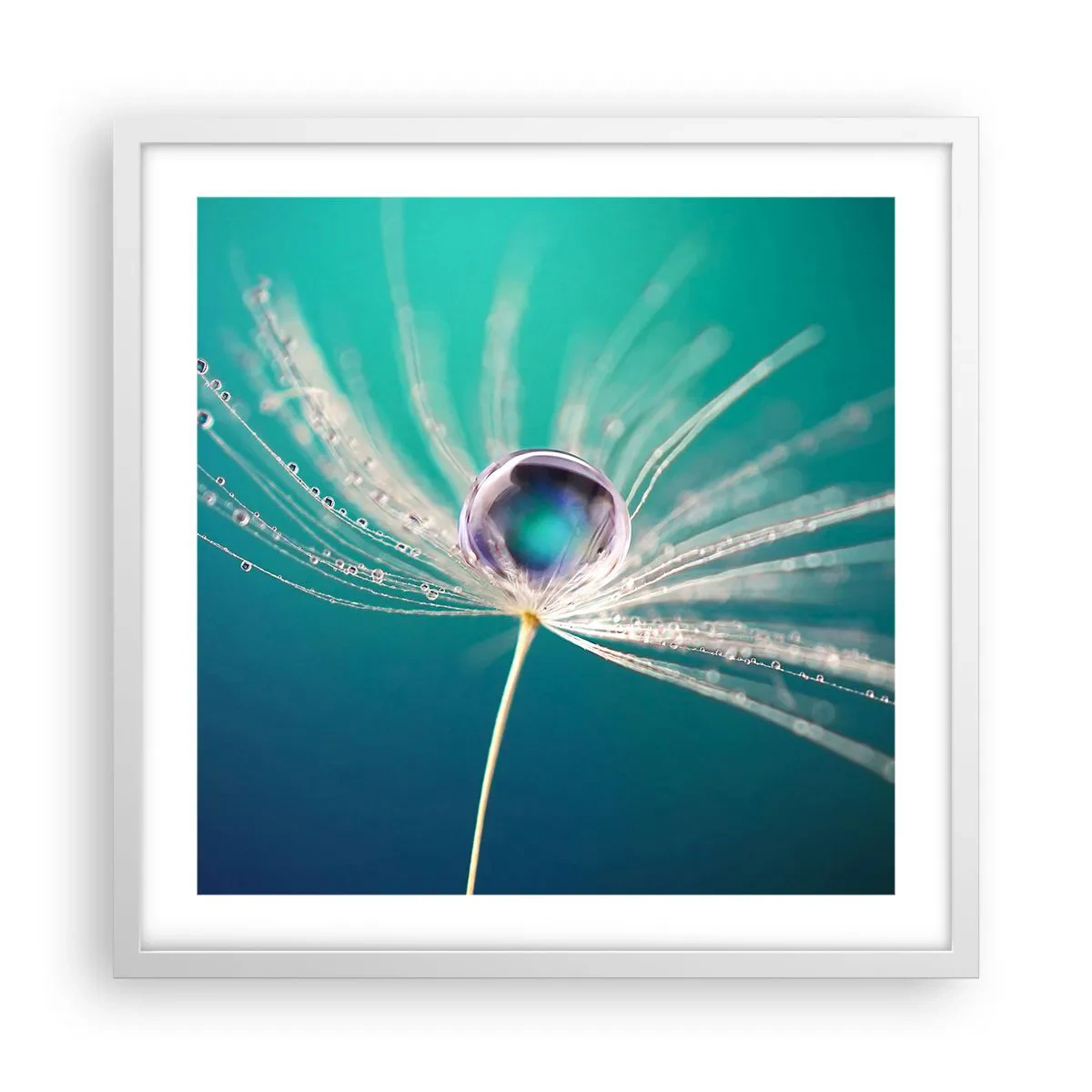 Poster în ramă albă - Moment mistic - 50x50 cm