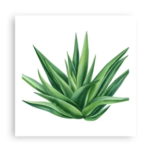 Poster - Verde - putere - viață - 60x60 cm