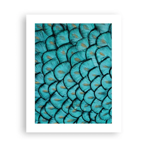 Poster - Marea gală a penelor - 40x50 cm