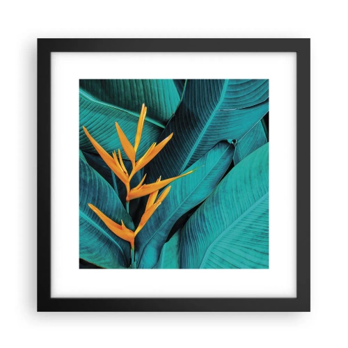 Poster în ramă neagră - Floarea Edenului - 30x30 cm