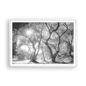 Poster în ramă albă - Într-o livadă de măslini - 100x70 cm