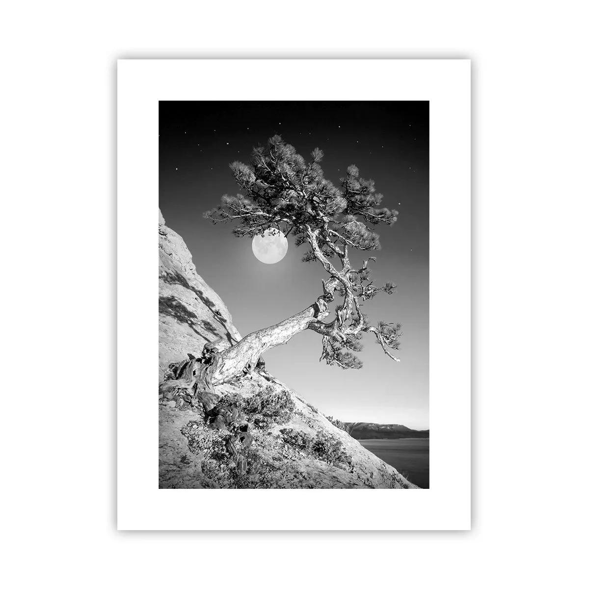 Poster - Războinicul victorios - 30x40 cm