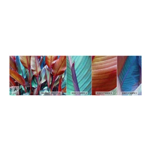 Mostră tapet Premium Canvas - Tufiș colorat - Frunze, Botanică, Boho - 100x30 cm