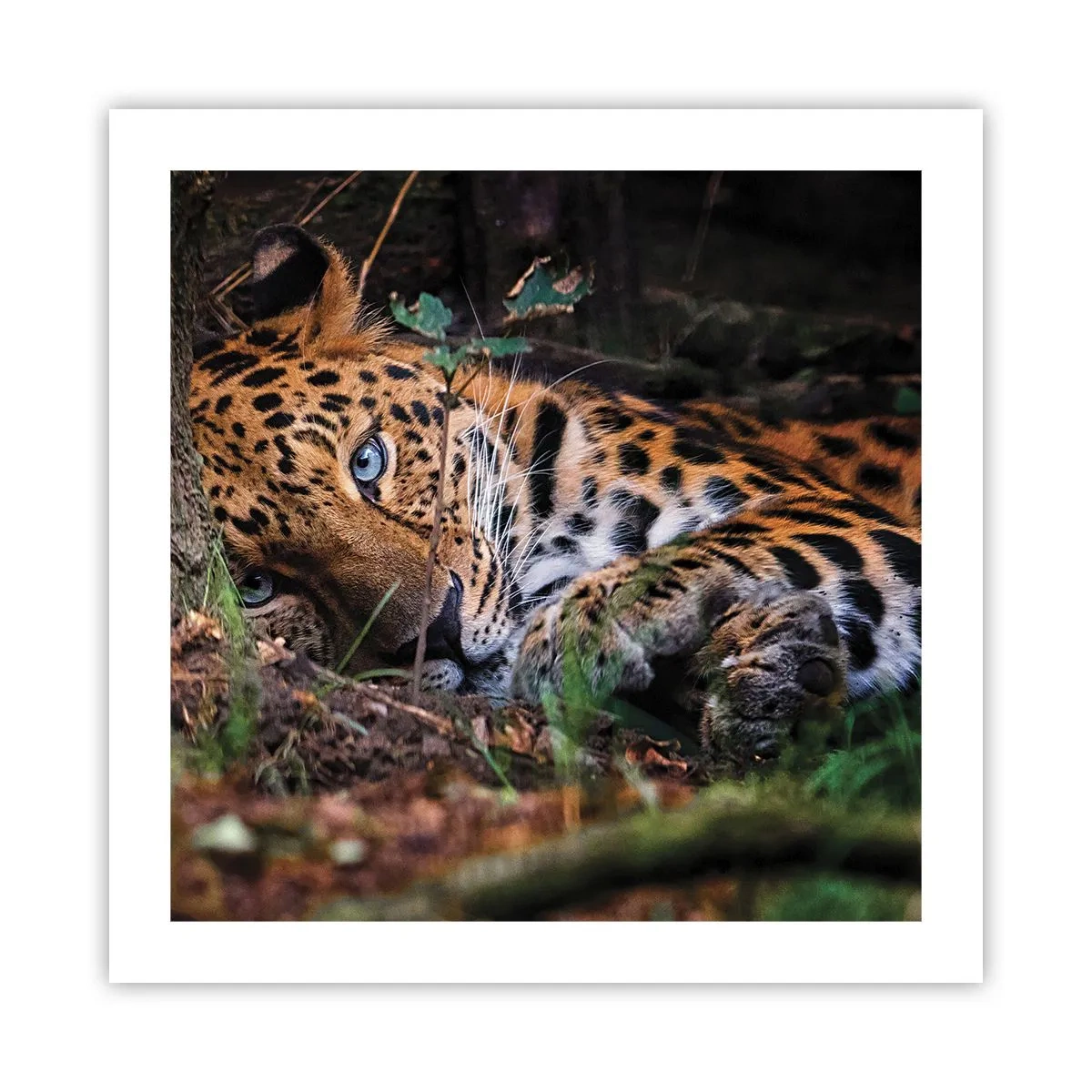 Poster - Să ai încredere în mine - 50x50 cm