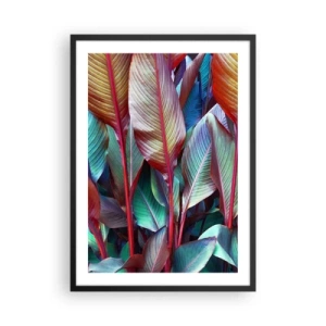 Poster în ramă neagră - Frunze colorate ale unei plante tropicale în culori saturate - 50x70cm - Tufiș colorat - Decorațiune modernă pentru perete pentru living și dormitor ARTTOR