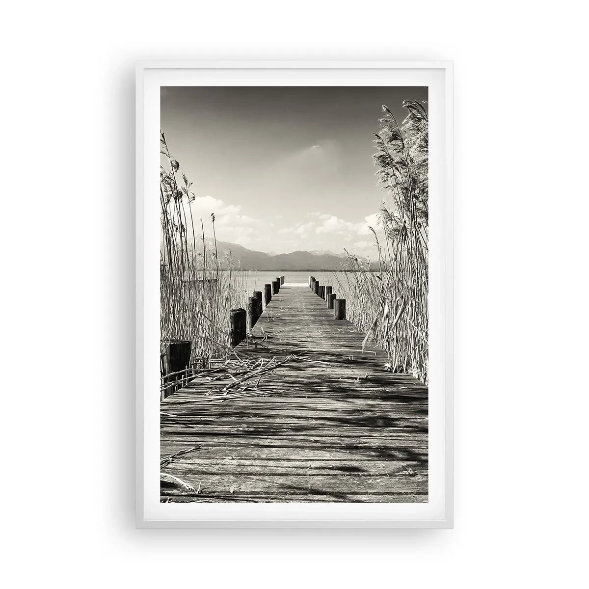 Poster în ramă albă - În intimitatea ierburilor - 61x91 cm