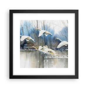 Poster în ramă neagră - Dansând cu lebedele sălbatice - 30x30 cm