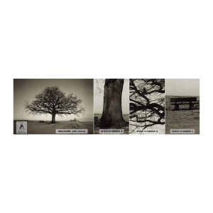 Mostră tapet Premium Sand - De aici până în veșnicie - Peisaj, Copac, Natură - 100x30 cm