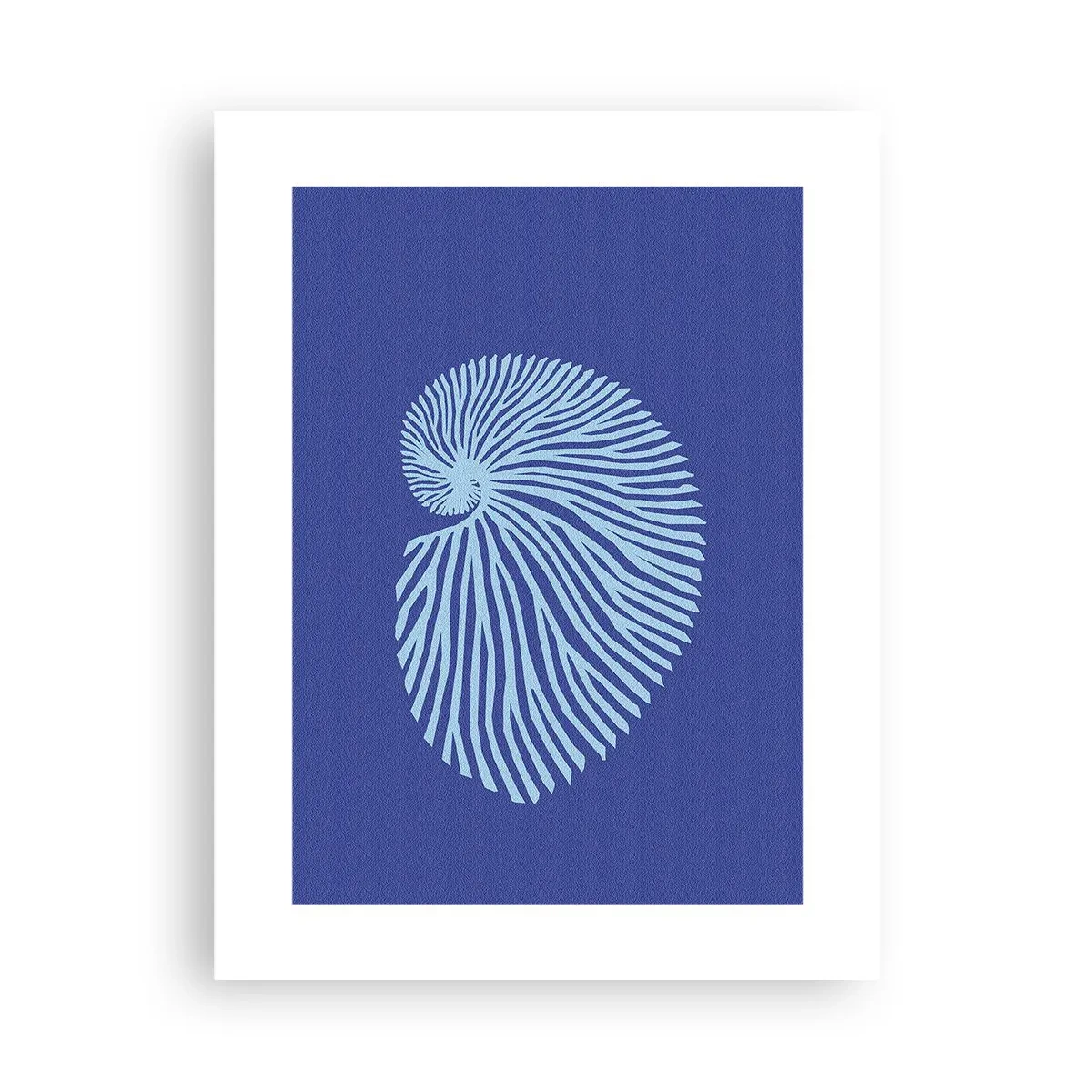 Poster - Nașterea cochiliei - 30x40 cm