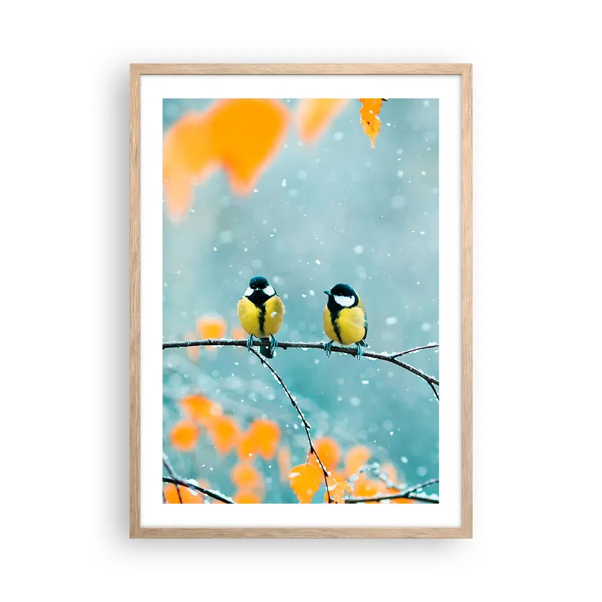 Poster în ramă de stejar deschis - Bârfele păsărilor - 50x70 cm