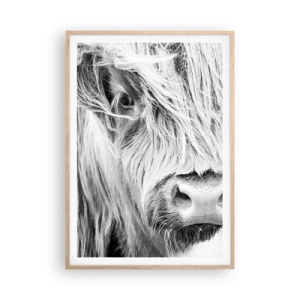 Poster în ramă de stejar deschis - Sălbăticie scoțiană - 70x100 cm