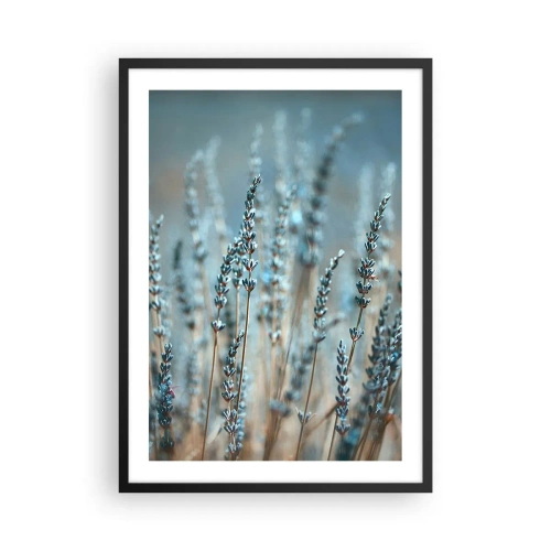 Poster în ramă neagră - Flori delicate de lavandă pe un fundal pastel - 50x70cm - Câmpul parfumat - Decorațiune modernă pentru perete pentru living și dormitor ARTTOR