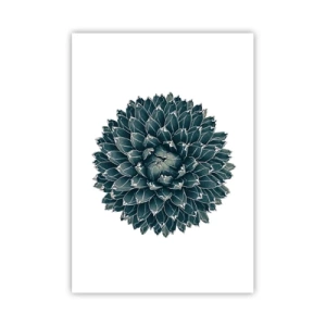 Poster - Steaua deșertului - 70x100 cm