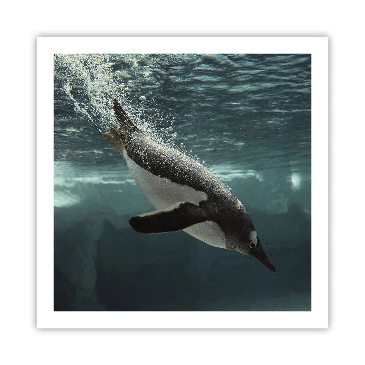 Poster - Bun venit în lumea mea - 60x60 cm