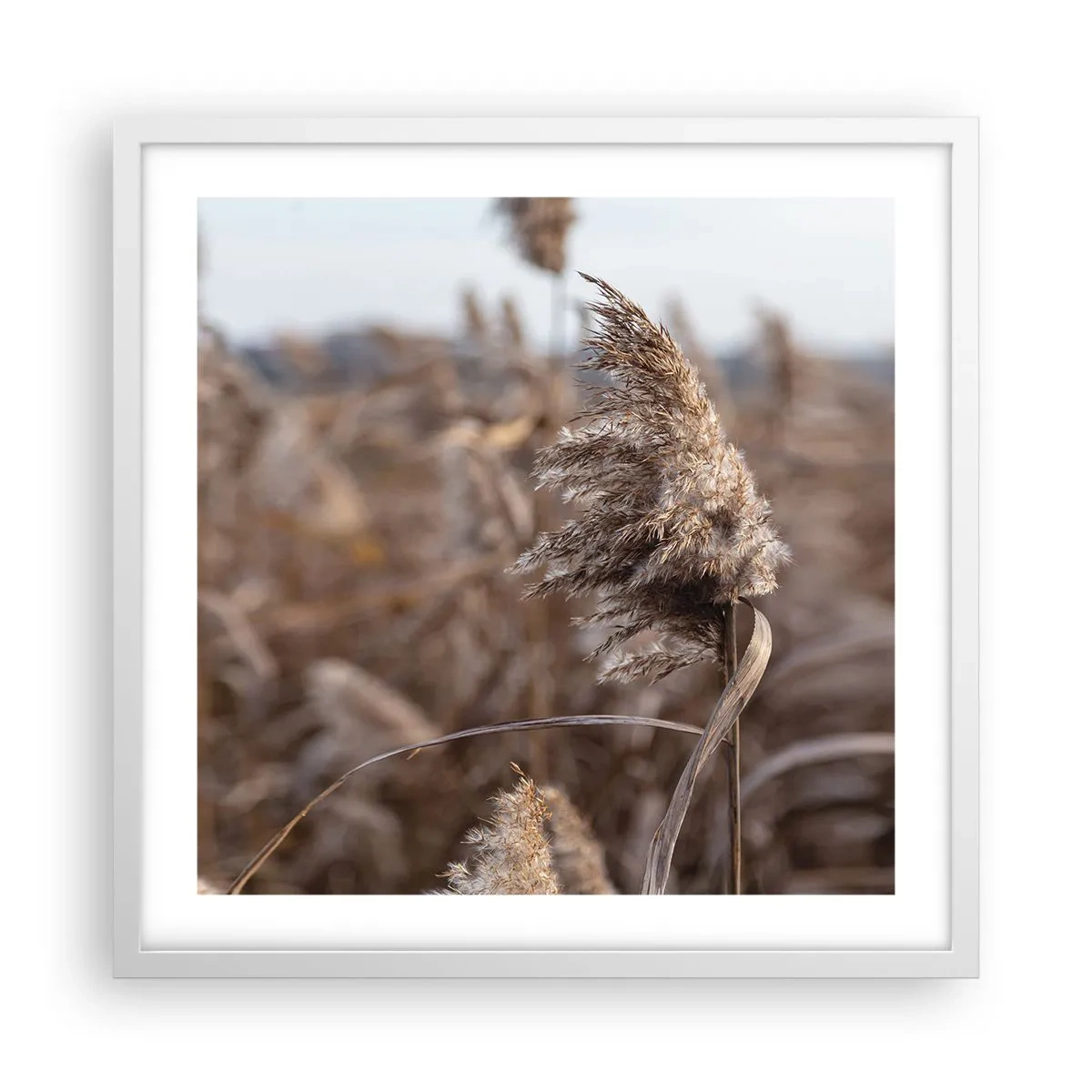 Poster în ramă albă - E timpul să zbori cu vântul - 50x50 cm