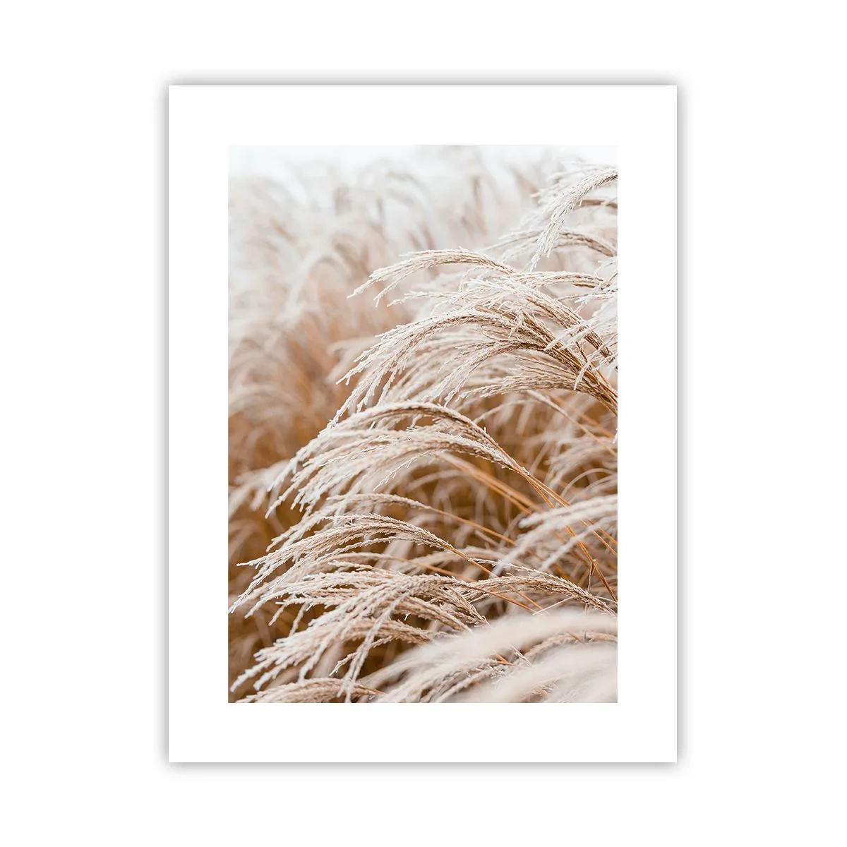 Poster - Închinându-se la soarele toamnei - 30x40 cm