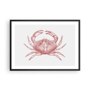 Poster în ramă neagră - Crab peste crabi - 70x50 cm