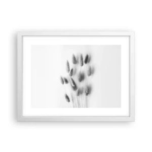 Poster în ramă albă - Pufoșenia ierbii - 40x30 cm