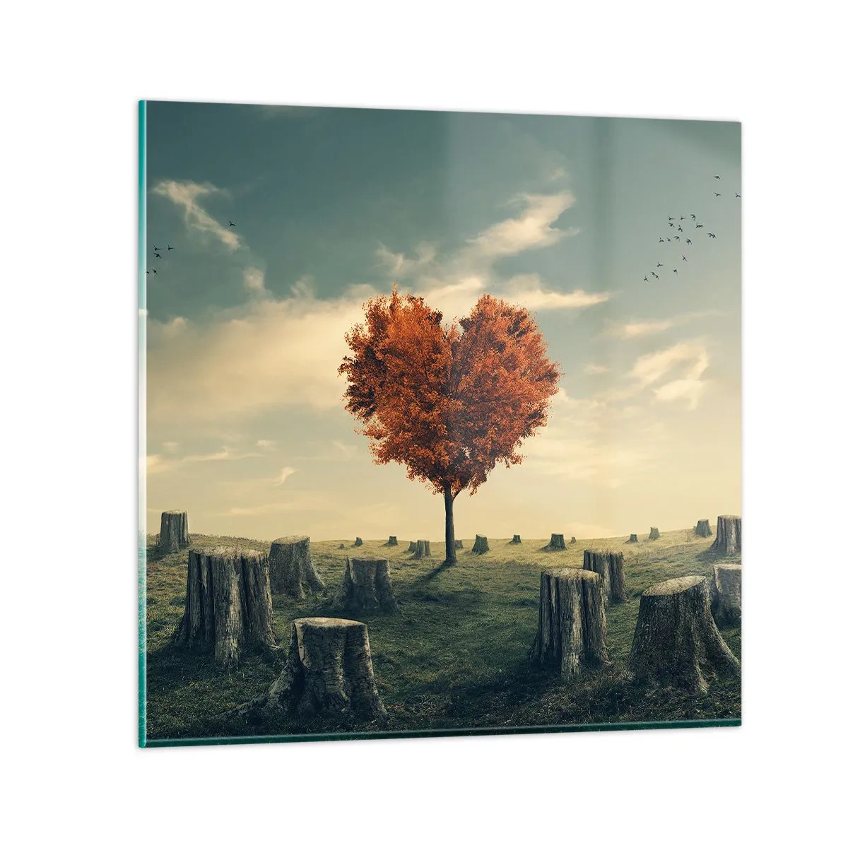 Tablou pe sticlă - Încă mai există speranță - 70x70 cm