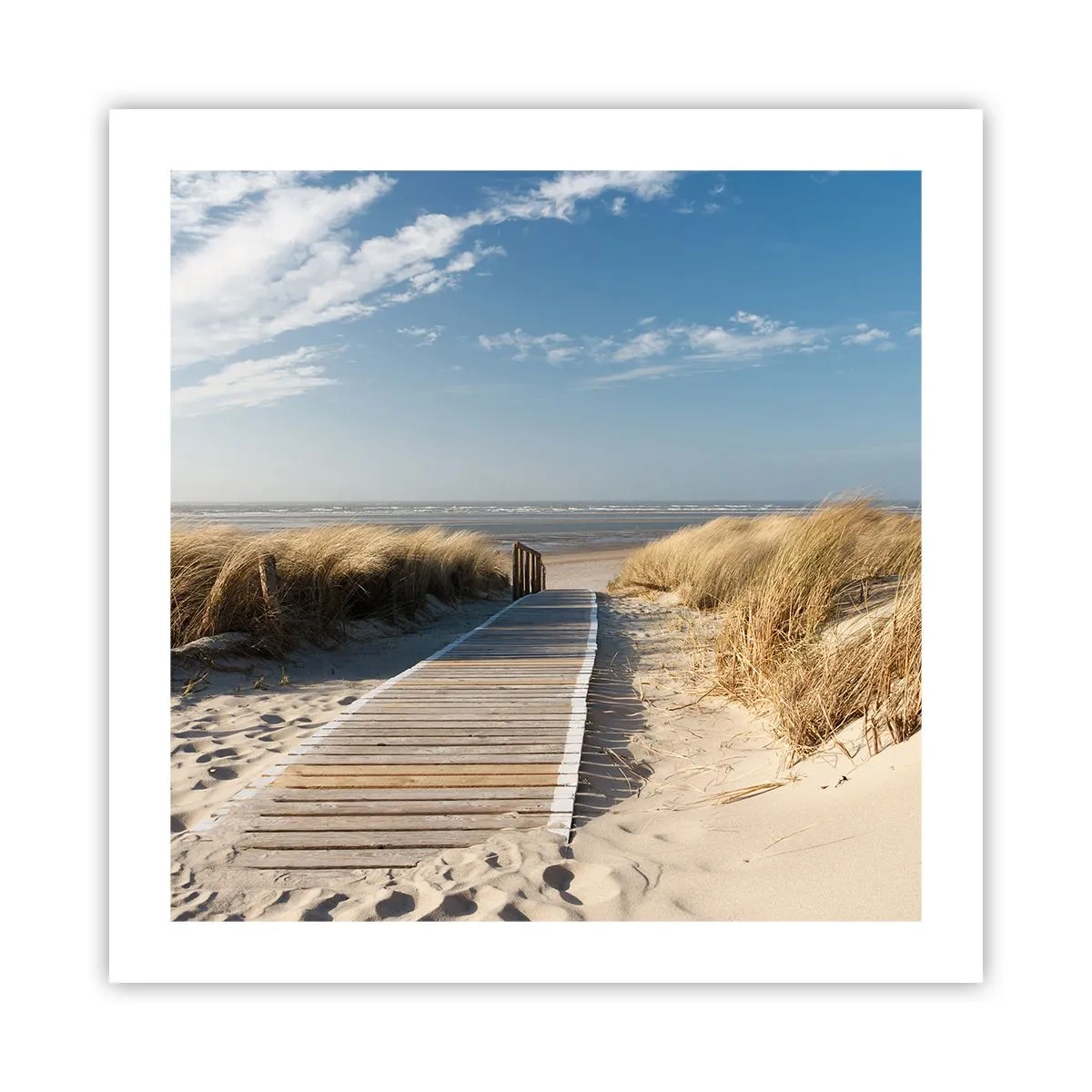 Poster - În spatele dunei, în zumzetul ierbii - 50x50 cm