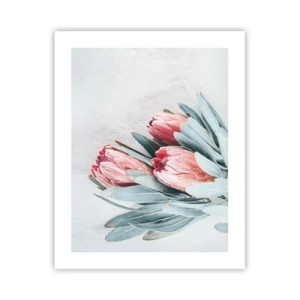 Poster - Rușinate de propria lor frumusețe - 40x50 cm