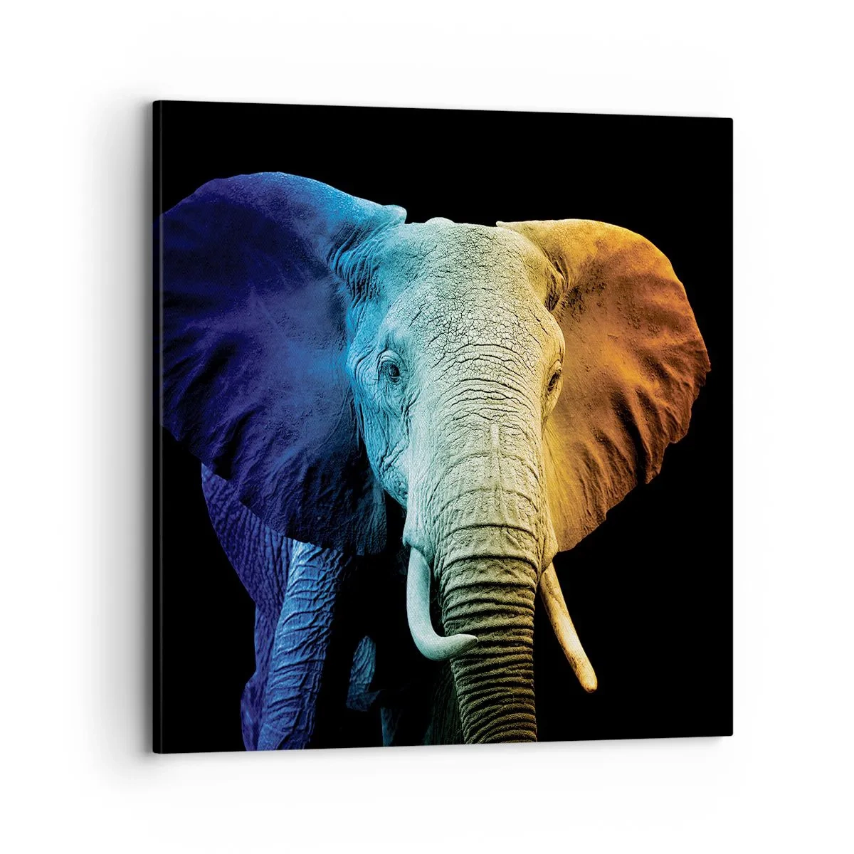 Tablou pe pânză - Excentric, nu ciudat - 70x70 cm