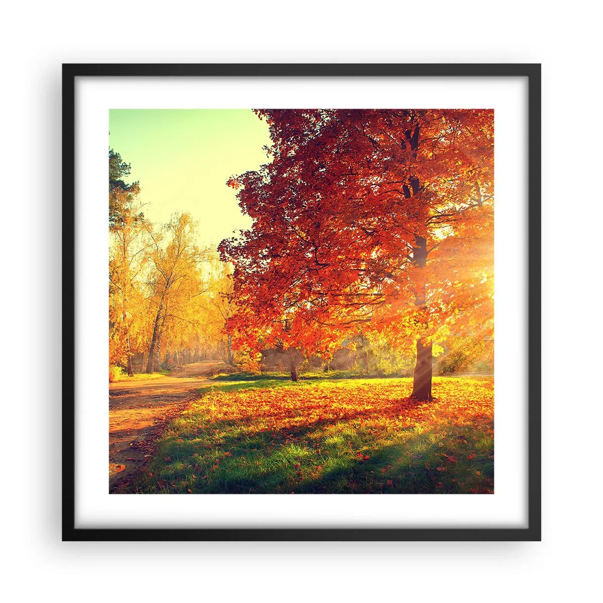 Poster în ramă neagră - Roșcatul este frumos - 50x50 cm