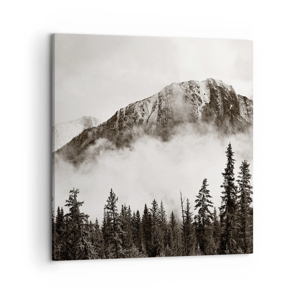 Tablou pe pânză - Stăpânul de granit - 50x50 cm