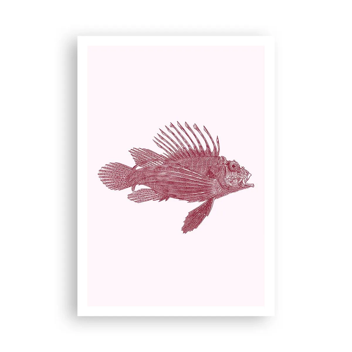 Poster - Un locuitor al apelor exotice - 70x100 cm