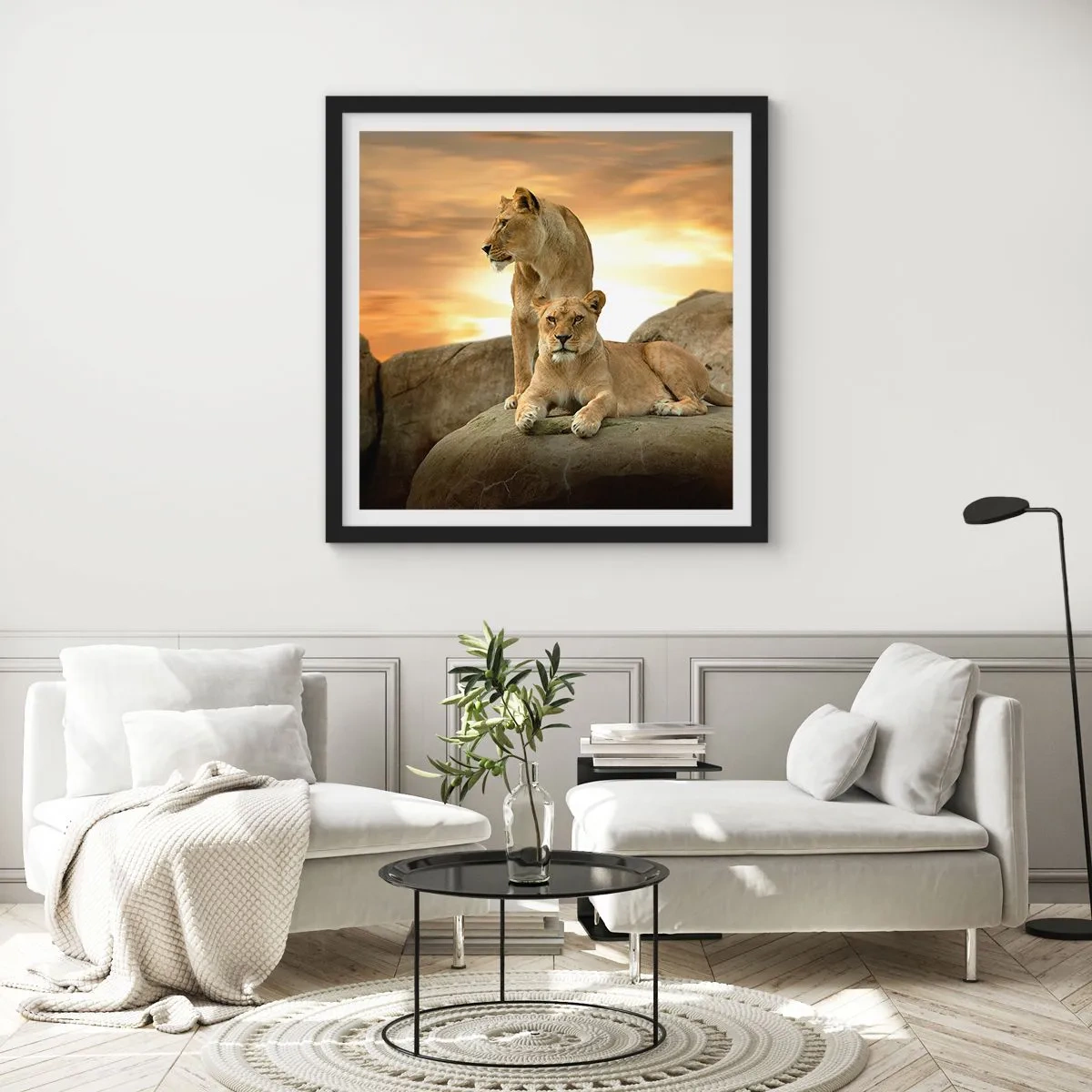 Poster în ramă neagră - Maiestate regală - 50x50 cm