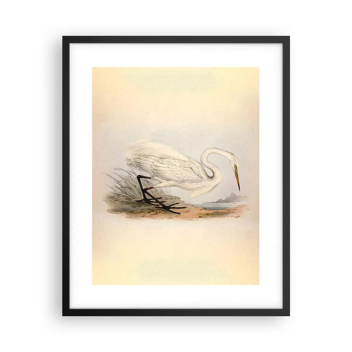 Poster în ramă neagră - Doamna în stufărișuri - 40x50 cm