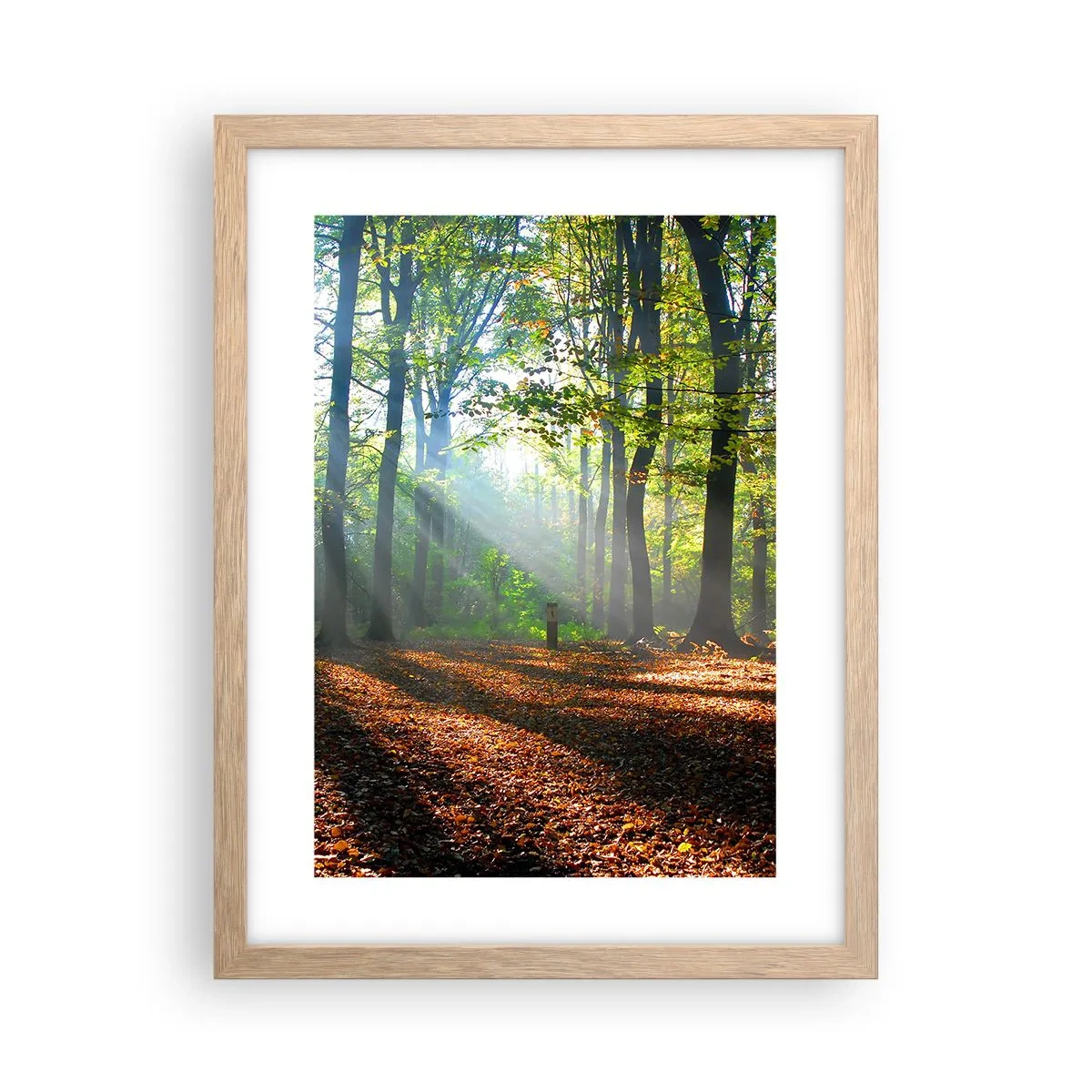 Poster în ramă de stejar deschis - Străluciri și umbre - 30x40 cm