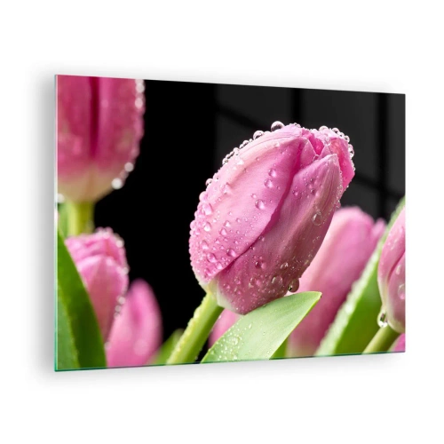 Tablou pe sticlă - Lalele roz acoperite cu picături de rouă pe un fundal negru - 70x50cm - Un vis de liliac în rouă - Decorațiune modernă pentru perete pentru living și dormitor ARTTOR