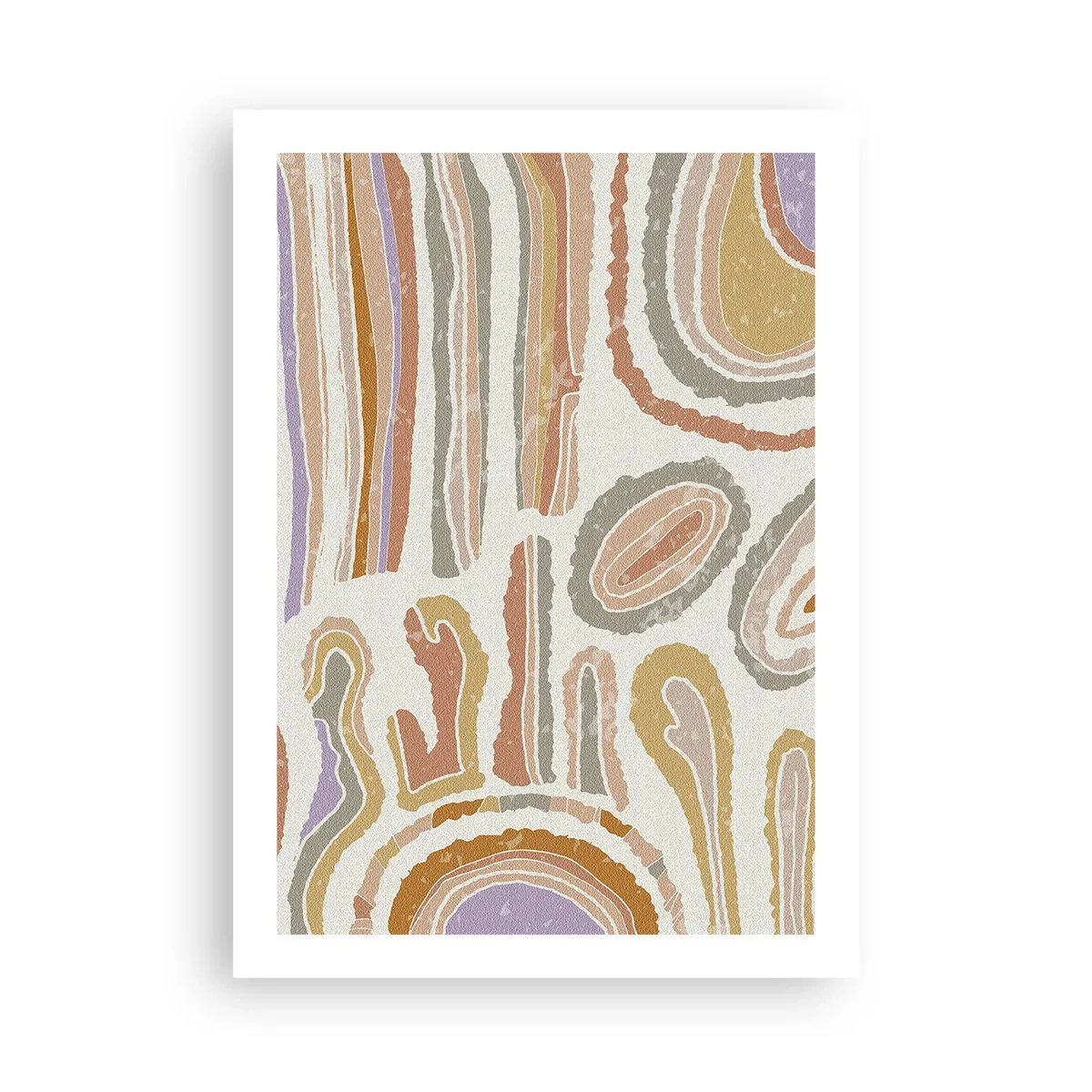 Poster - Secțiuni colorate - 50x70 cm