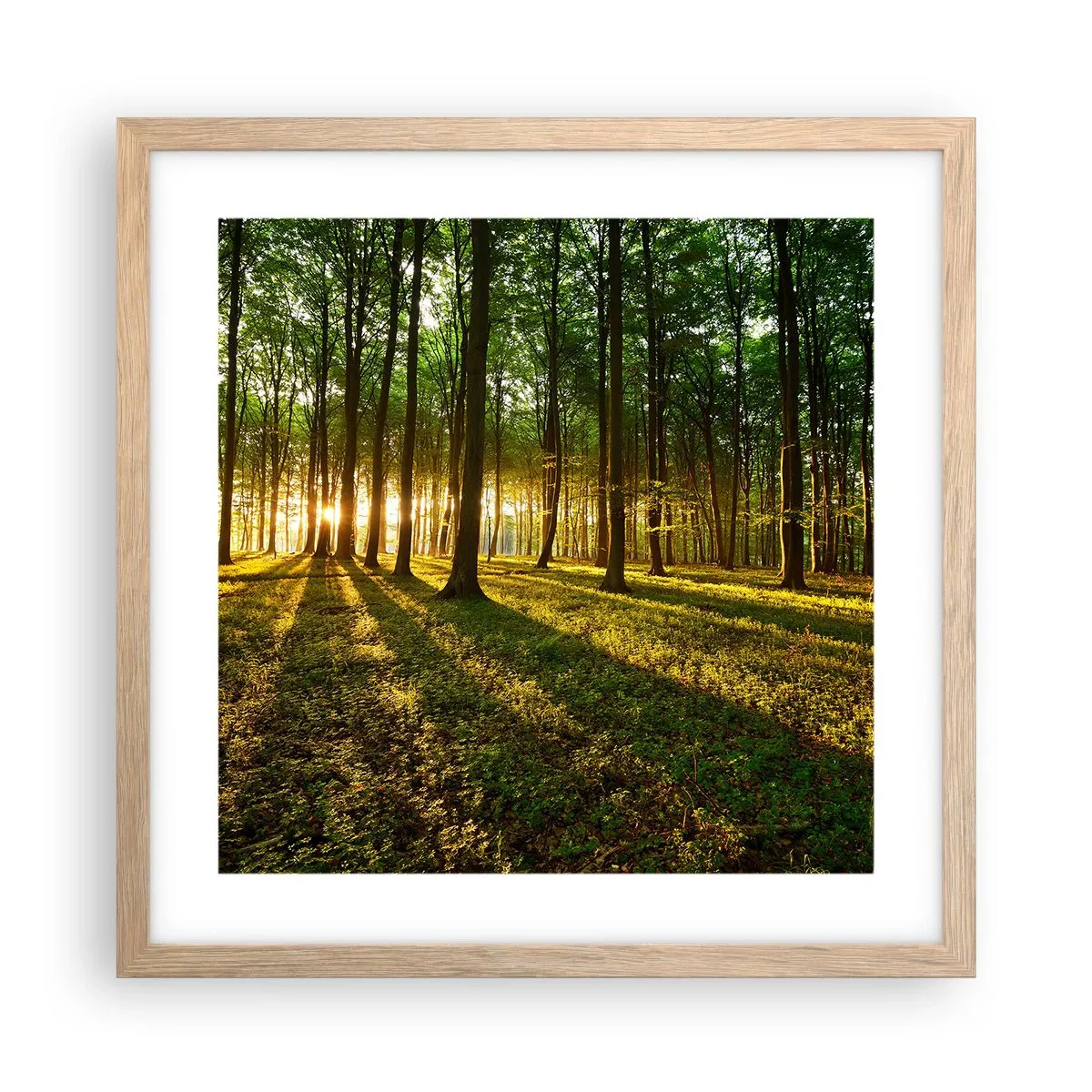 Poster în ramă de stejar deschis - Fotografia tuturor primăverilor - 40x40 cm