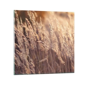 Tablou pe sticlă - Gata să întâmpine toamna - 70x70 cm