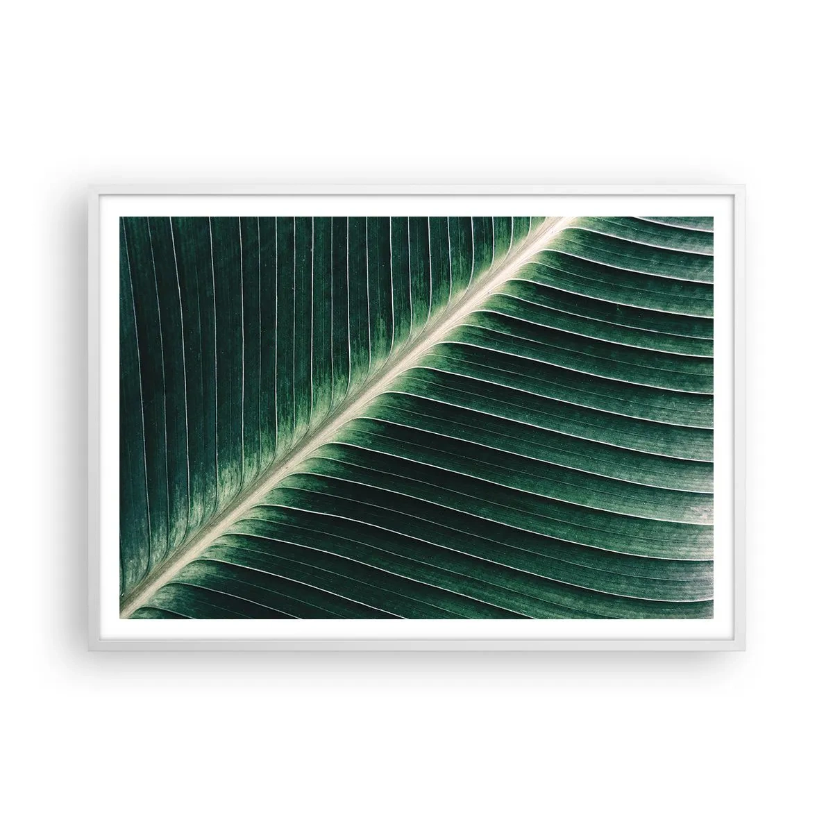Poster în ramă albă - Ritmul naturii - 100x70 cm